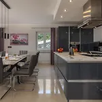 Willa Luka With 50 Sqm Pool Labin (Istria)